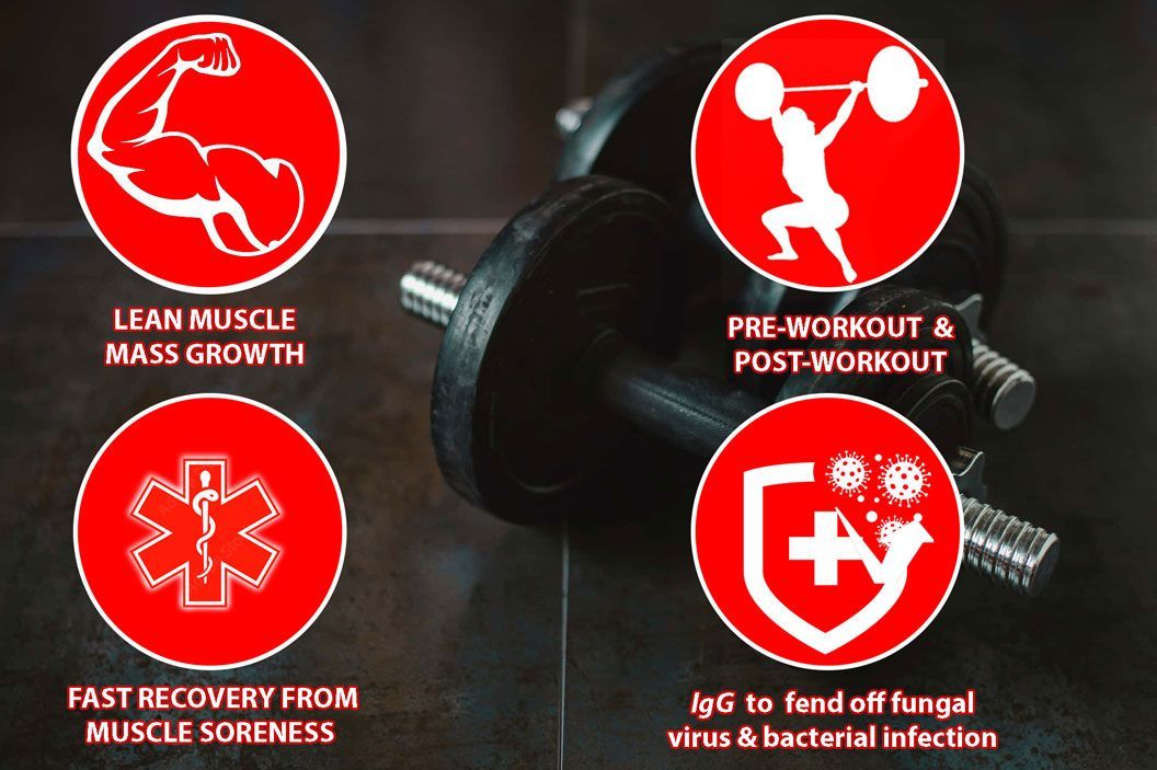 whey protein concentrate benefits