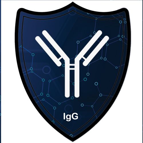 Immunoglobulins